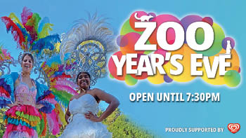 Zoo Years Eve 