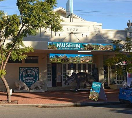 Museum of Natural History Guildford