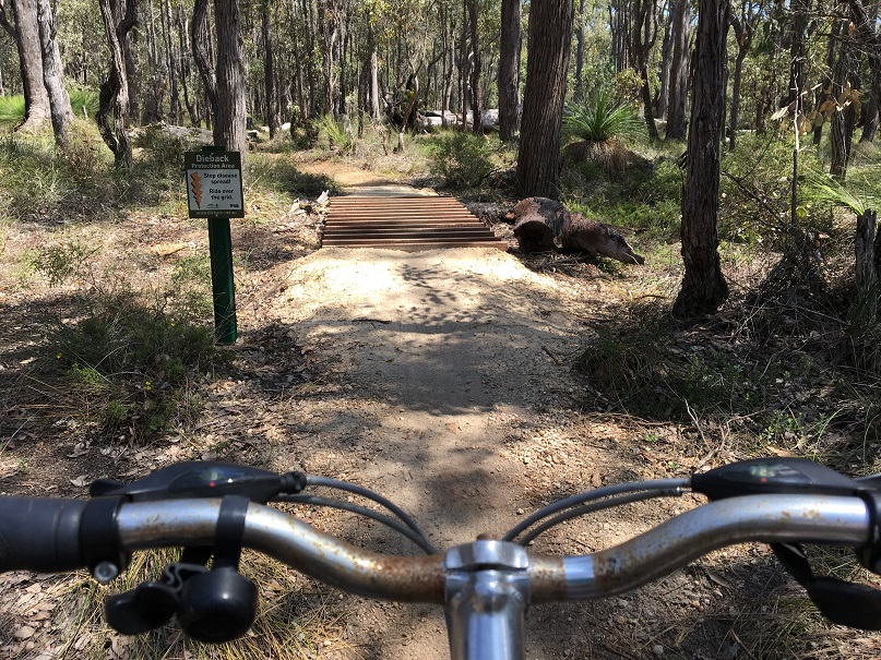 Lake Leschenaultia MTB Trails 1