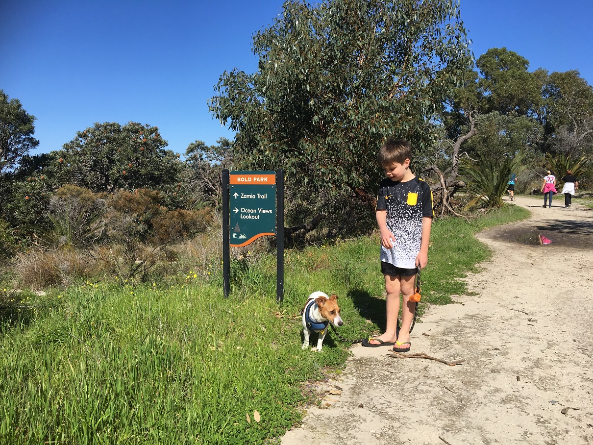 Zamia Trail Ocean Views Lookout Bold Park