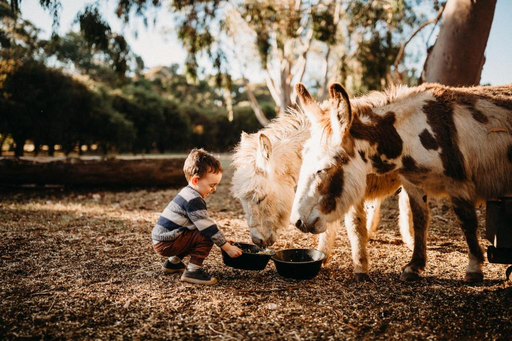 The 7 Best Farmstay near Margaret River