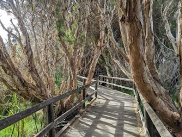 Big Swamp Parkland Bunbury