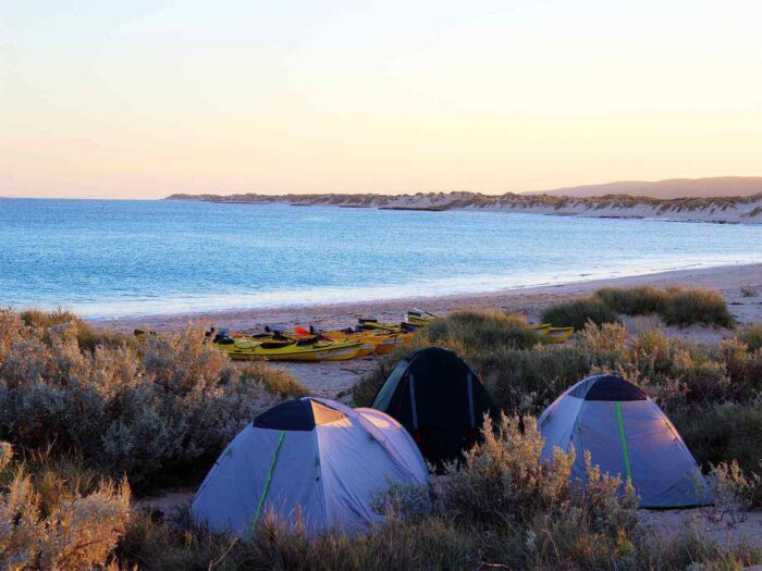 Exmouth Campsite Western Australia Guide