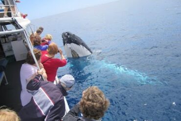 Legend Charters Busselton