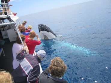 Legend Charters Busselton