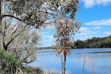 Leicester Reserve Bunbury