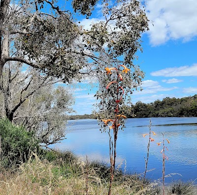 Leicester Reserve Bunbury