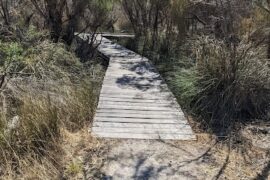 Len Howard Conservation Park Mandurah