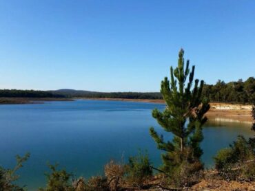 Logues Brooke Dam Guide