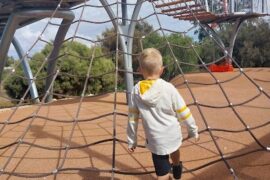 Mangrove playground Bunbury