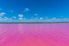 Pink Lake in WA