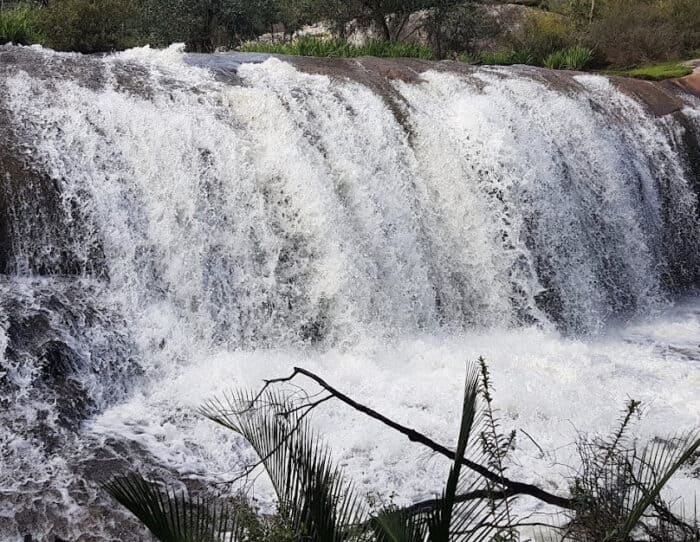 Take a nature walk along the Peel Inlet foreshore and let your little explorers discover the beauty of Mandurah's wildlife