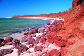 Shark Bay Caravan Parks Guide