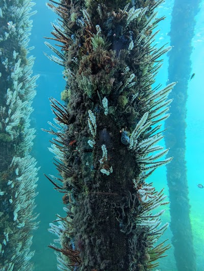 Underwater Observatory Busselton