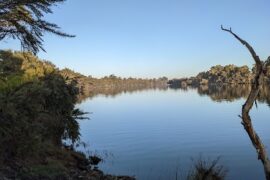 Watson Reserve Bunbury