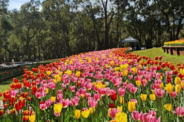 Araluen Botanic Park