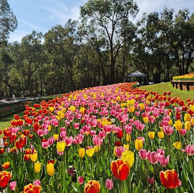 Araluen Botanic Park