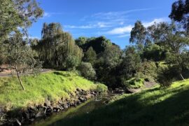 5 Mile Creek Reserve Essendon