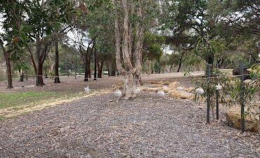 ANZAC Road Reserve North Perth