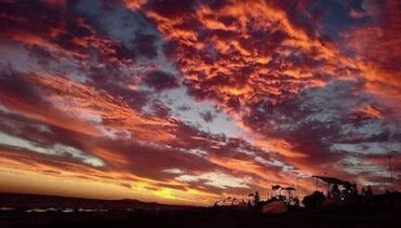 Abraham Reserve Whyalla Stuart