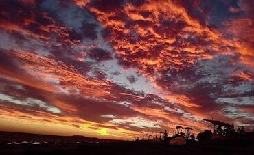 Abraham Reserve Whyalla Stuart