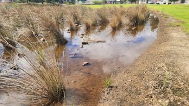 Acacia Reserve Munno Para West