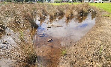 Acacia Reserve Munno Para West