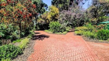 Ada Ryan Gardens Whyalla Stuart