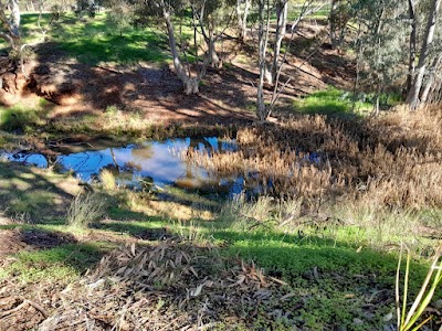 Adams Creek pond Craigmore