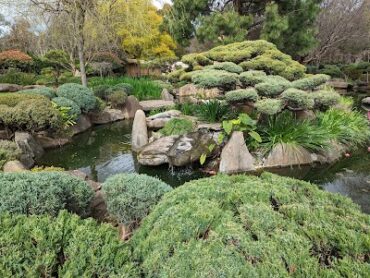 Adelaide Himeji Garden Fulham Gardens