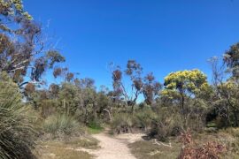 Aldinga Conservation Park Aldinga Beach