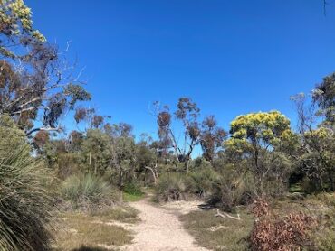 Aldinga Conservation Park Aldinga Beach