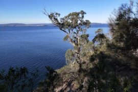 Alum Cliffs Track Taroona