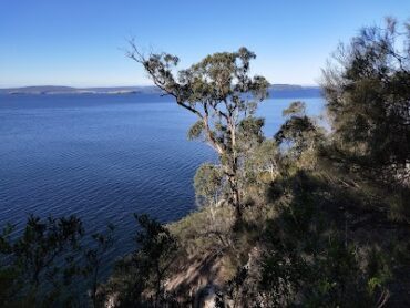 Alum Cliffs Track Taroona