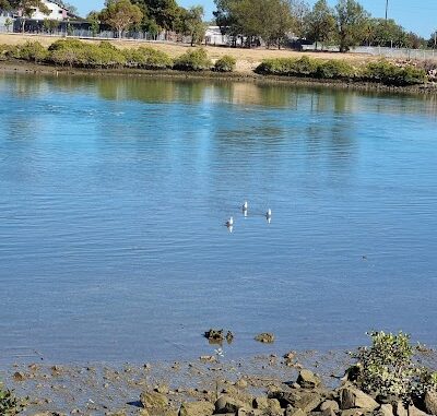 Aquatic Reserve West Lakes