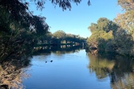 Arthur and Norah Breeden Park Busselton