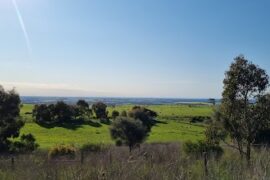 Ashbourne Road Lookout Strathalbyn (SA)