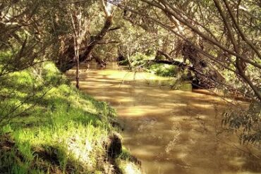 Astley Street River Park Gosnells