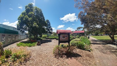 Athelstone Community Garden Padulesi Park Athelstone