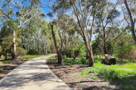 Athelstone Linear Park Athelstone