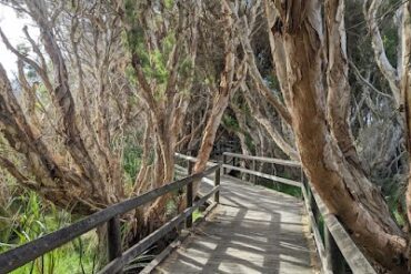 Aurora Drive Wetlands Gazebo Atwell