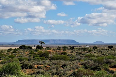 Australian Arid Lands Botanic Garden Boardwalk Port Augusta