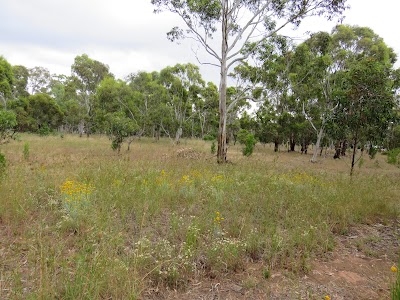 Avenue of Honour Athelstone