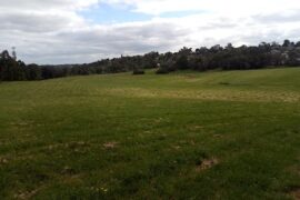 Balcombe Avenue Reserve Mooroolbark