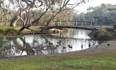 Balyang Sanctuary Newtown