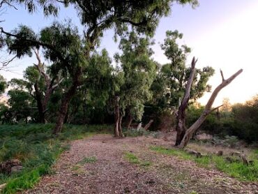 Banjo Rise Reserve Carrum Downs