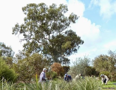 Barossa Bushgardens Nuriootpa