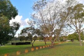 Bassett Reserve Nature Playground Cockburn