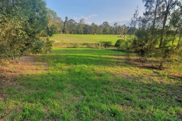 Bassingham Poincaire Reserve Balcatta