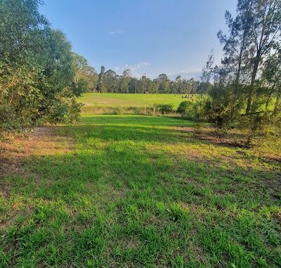 Bassingham Poincaire Reserve Balcatta